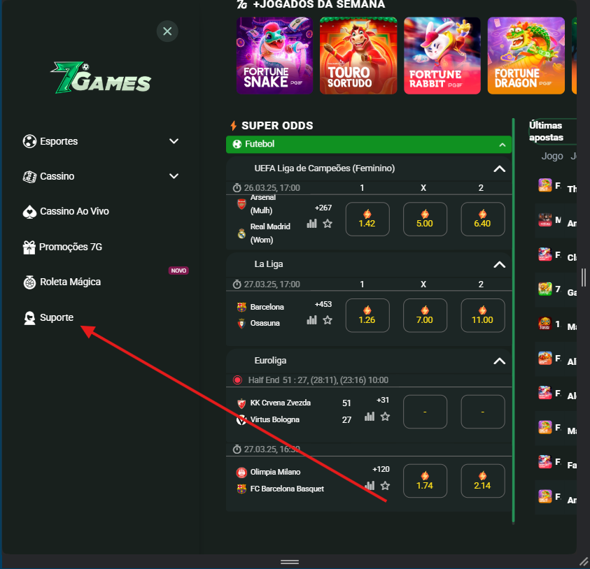 Seta aprontando para a opção suporte